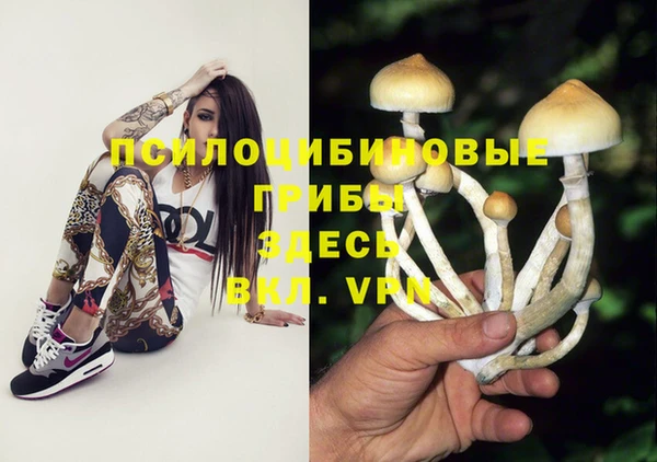 spice Балабаново