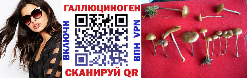 Псилоцибиновые грибы MAGIC MUSHROOMS  Радужный 